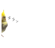 807252871