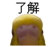 807252873
