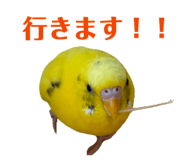 807252875