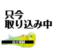 807252880