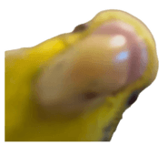 807252881
