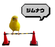 807252884