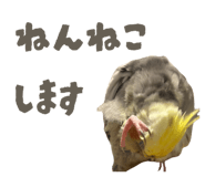 807252887