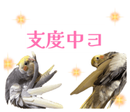 807252888