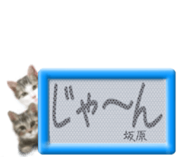 807254815