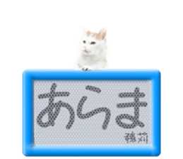 807254927