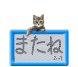 807255009