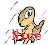 807266977