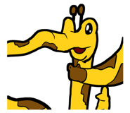 807266978