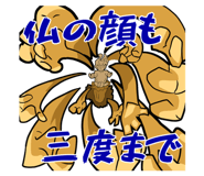 807267004