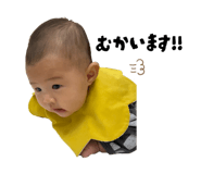 807276388