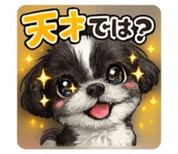 807327161