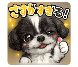 807327162