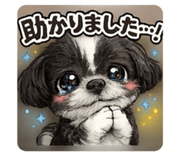 807327165