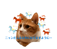 807350146
