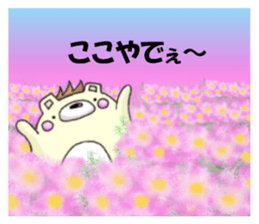 8073605