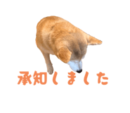 807364386
