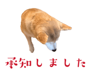 807364392