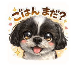 807364830
