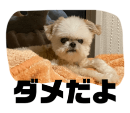 807395034