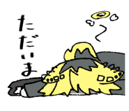 807407228