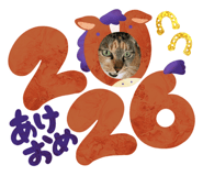 807409800