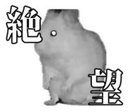 807417899