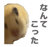 807417902