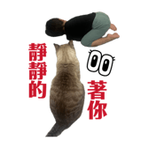 807426778