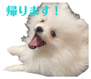 807431989