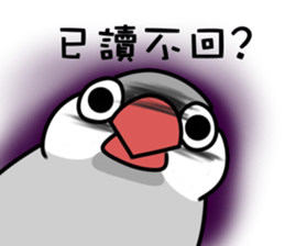 8074411