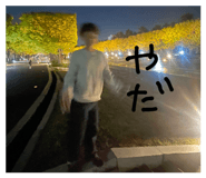 807441592