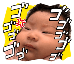 807445603