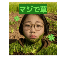 807456653