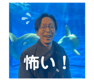 807461521