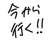 807462290