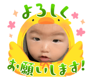 807473253