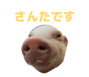 807502761