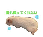 807502762