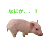 807502764