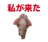 807502766