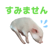 807502767