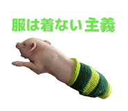 807502768