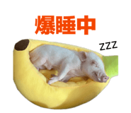 807502769