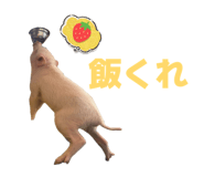807502770