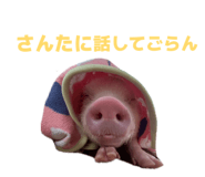 807502771