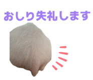 807502773