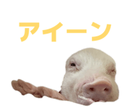 807502776