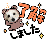 807503807