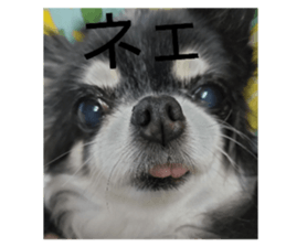 807535507